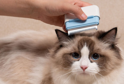 Pet Life blue and white travel grooming comb with steel teeth used to brush a fluffy long-haired cat.