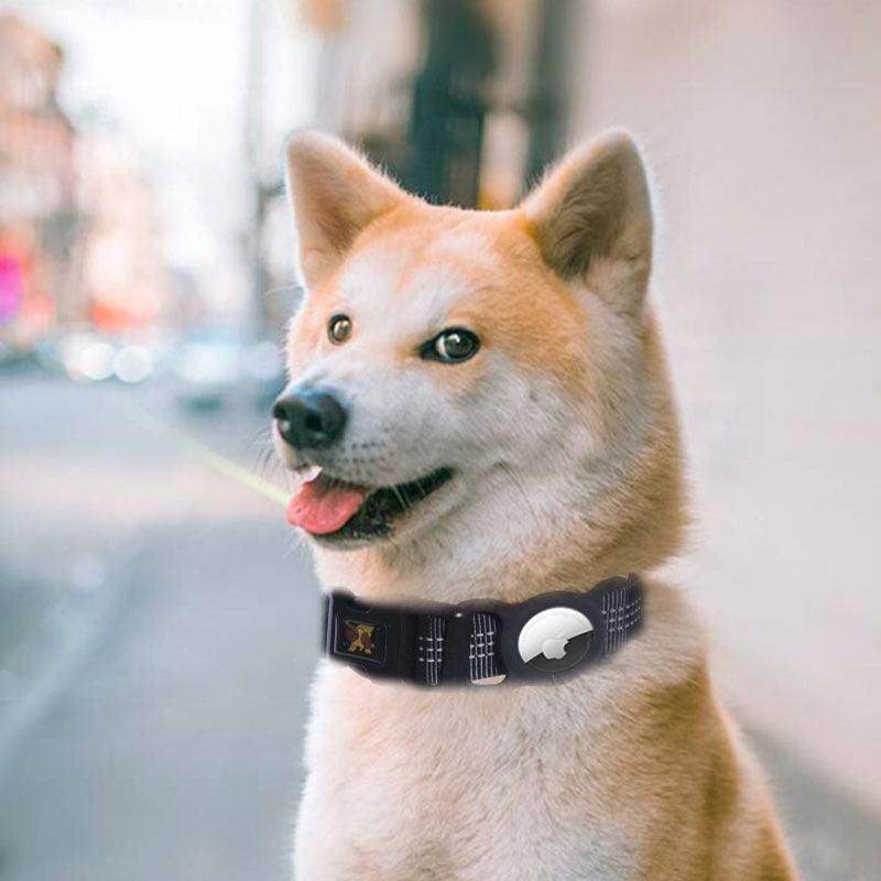 Purrfect Pet Kingdom Pet Location Tracker for Dogs Collar Purrfect Pet Kingdom