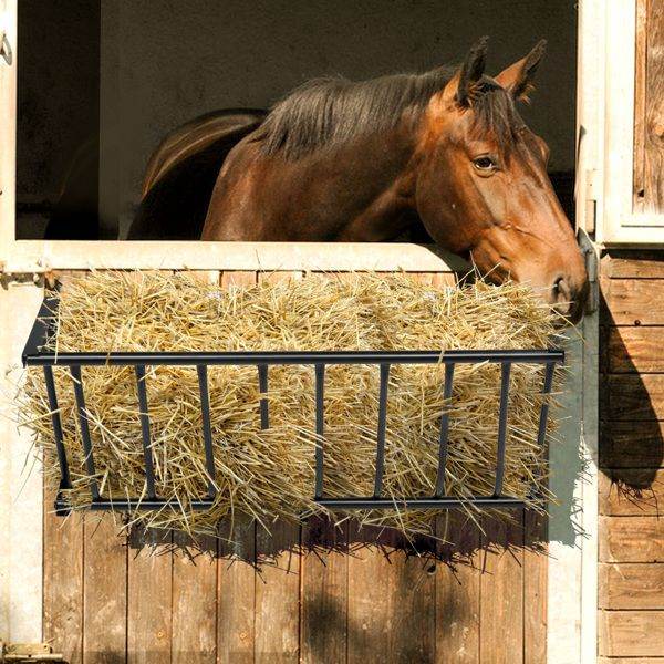 Horse eating hay from black metal feeder attached to stable door for car travel and protection