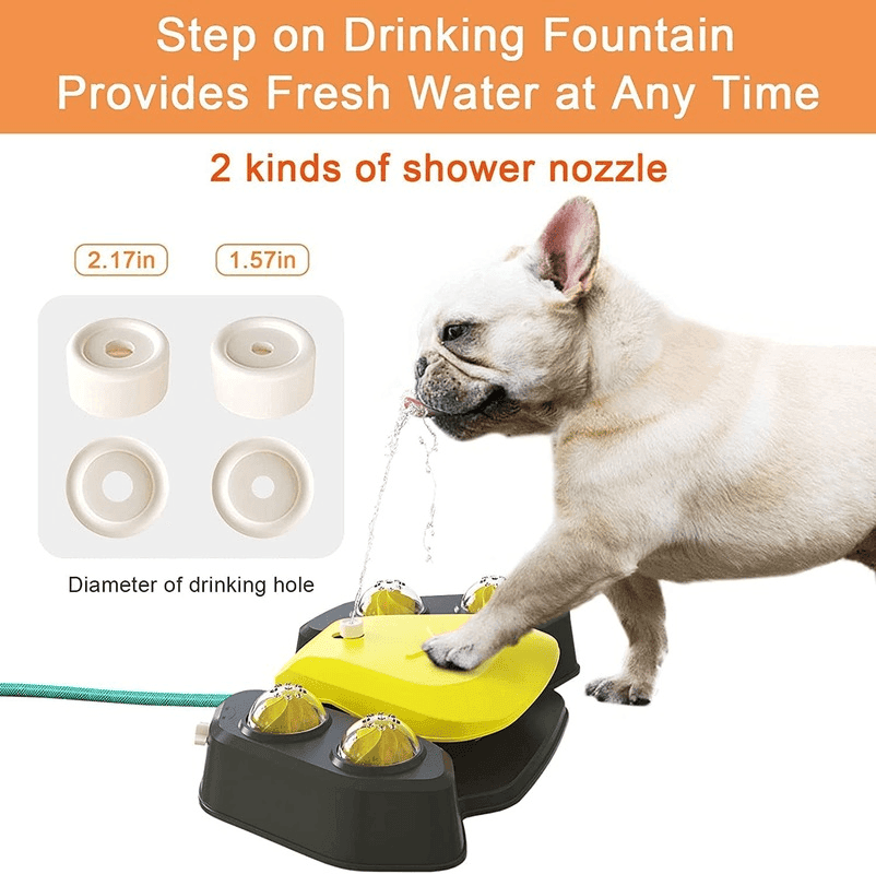 Purrfect Pet Kingdom Pet Water Fountain for Large Dogs Purrfect Pet Kingdom