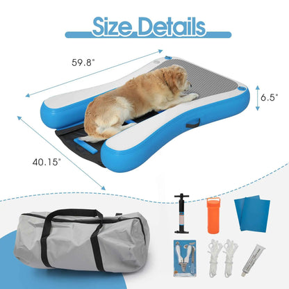 Purrfect Pet Kingdom Pet Water Ramp with High Weight Capacity Purrfect Pet Kingdom