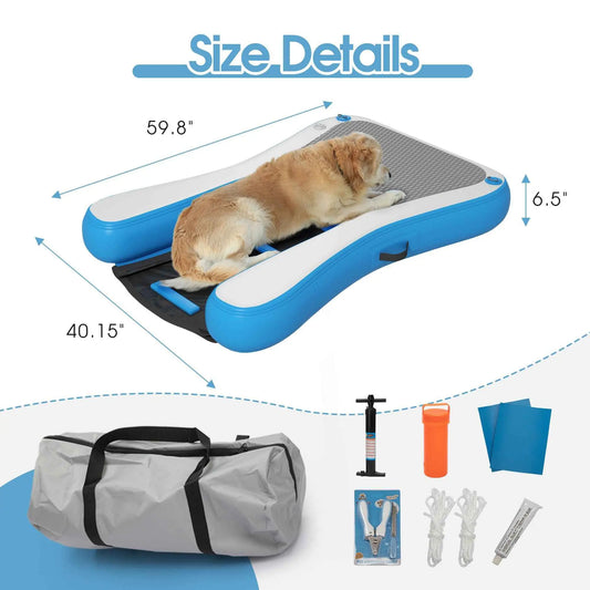 Purrfect Pet Kingdom Pet Water Ramp with High Weight Capacity Purrfect Pet Kingdom