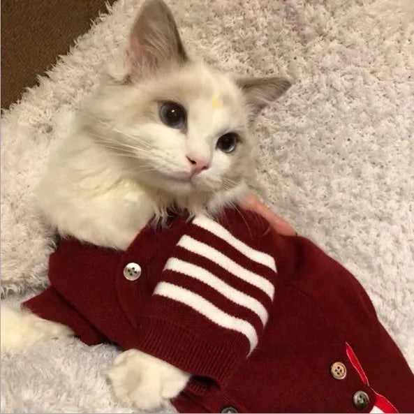 Pet Zen - Cat pet clothes - 0