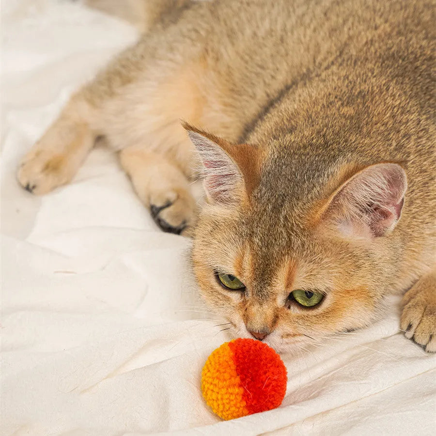 Pet Zen - Cat Quiet Hair Ball Pet Toy - 0