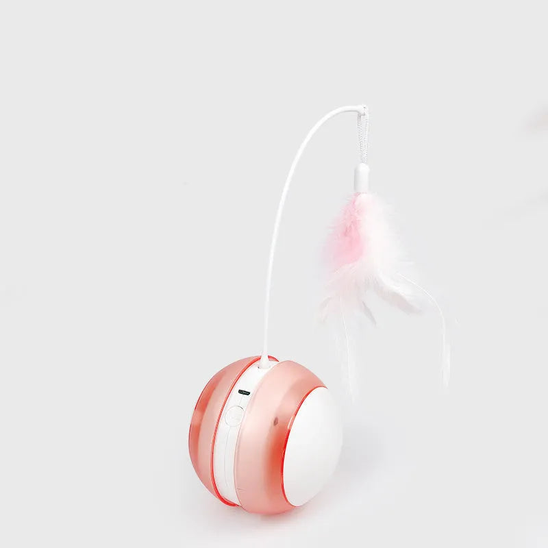 Pet Zen - Cat toy ball - Cat Toys