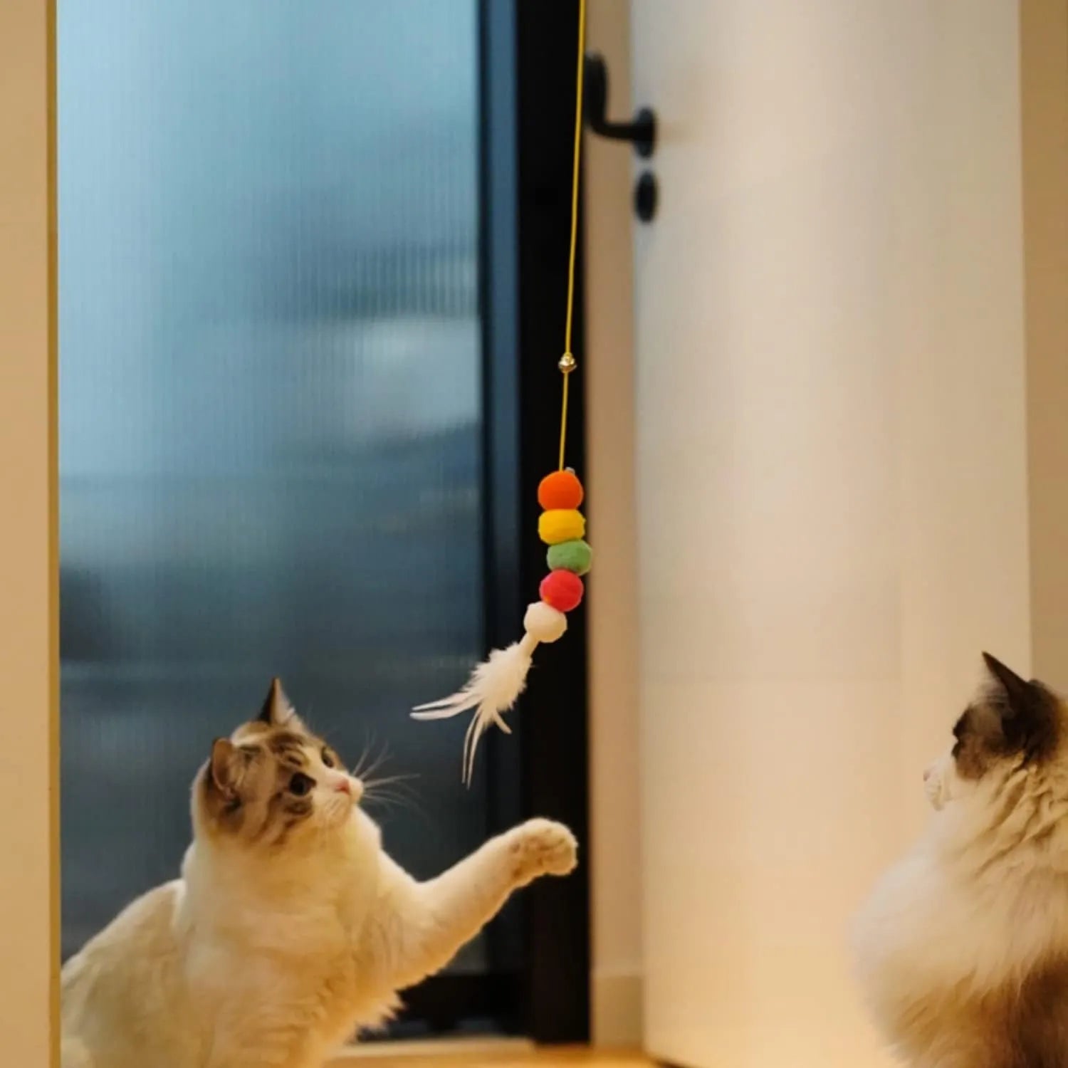 Pet Zen - Cat Toys For Indoor Cats Interactive Cat Toys For Indoor Cats 200cm Hanging Cat Toy Self-Excited Retractable Nyl...