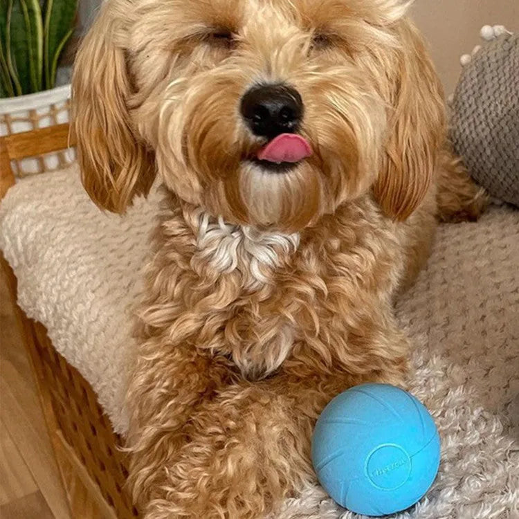 Pet Zen - Cat Toys To Get High And Relieve Boredom Teasing Cat Stick Smart Rolling Ball - Cat Toys