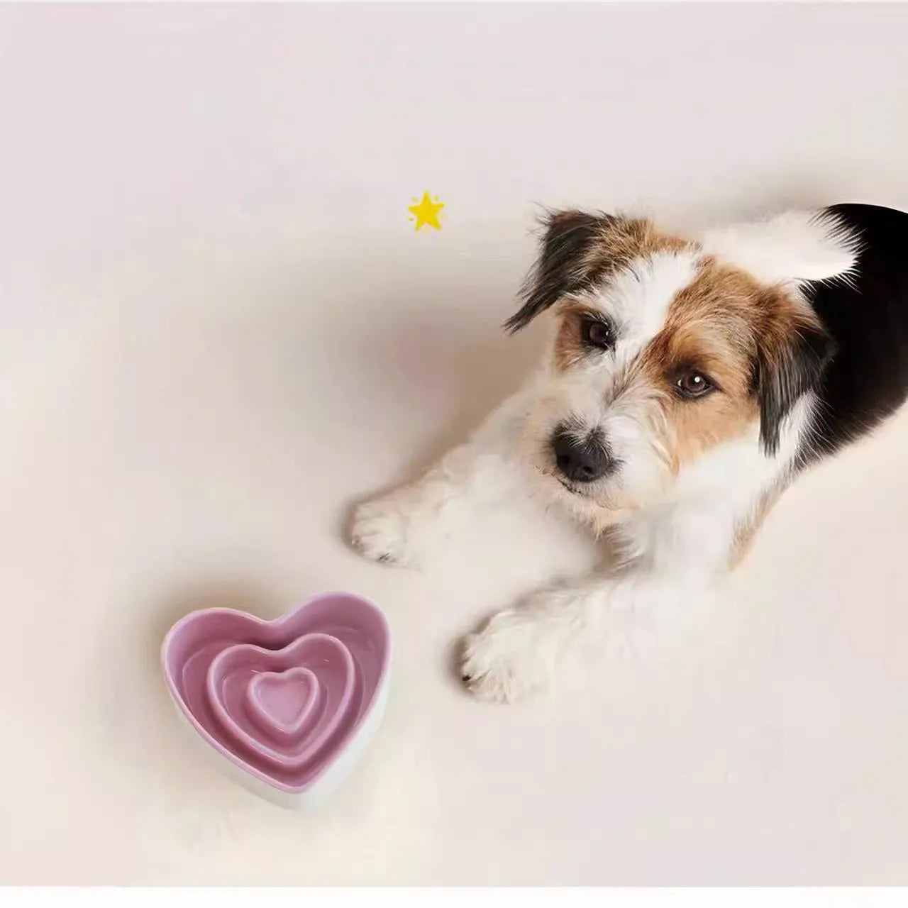 Pet Zen - Ceramic Slow Food Bowl For Small And Medium Dogs Slow - 4