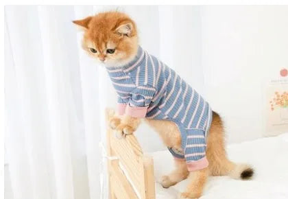 Pet Zen - Clothes Ins Puppet Cat British Short Cat Cat Anti-hair Shed - Pet Shirts