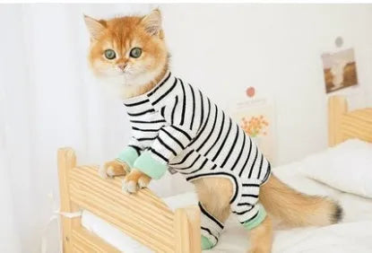 Pet Zen - Clothes Ins Puppet Cat British Short Cat Cat Anti-hair Shed - Pet Shirts