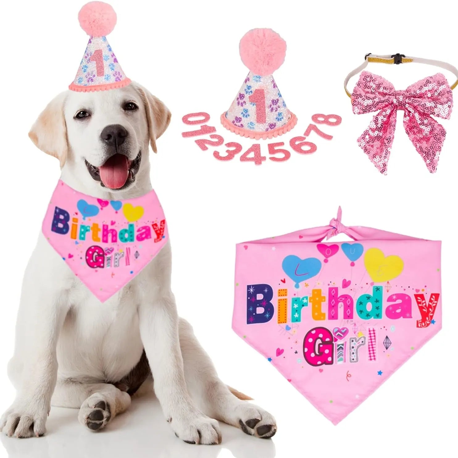 Pet Zen - Dog Birthday Party Supplies Boy Girl Dog Birthday Hat With - 4