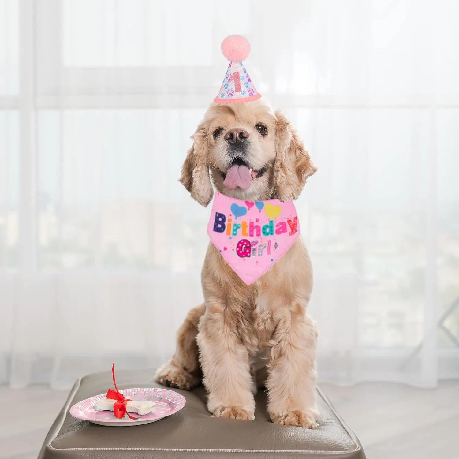 Pet Zen - Dog Birthday Party Supplies Boy Girl Dog Birthday Hat With - 4