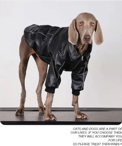 Pet Zen - Dog Clothes For Medium To Large Breeds Autumn Black Leather - 0