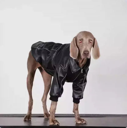 Pet Zen - Dog Clothes For Medium To Large Breeds Autumn Black Leather - 0