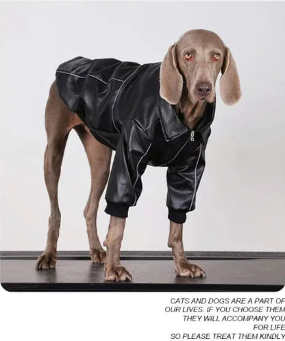Pet Zen - Dog Clothes For Medium To Large Breeds Autumn Black Leather - 0