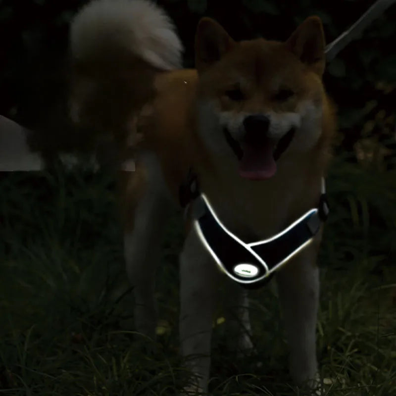 Pet Zen - Dog Harness Adjustable Pet Harness Vest For Small Large Dog Cat Reflective Mesh Puppy Cat Chest Strap Dog Access...