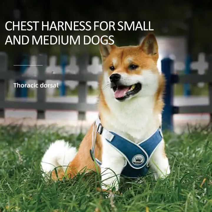 Pet Zen - Dog Harness Adjustable Pet Harness Vest For Small Large Dog - 4