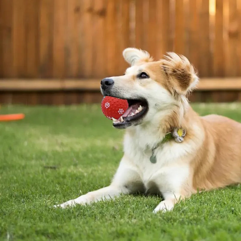 Pet Zen - Dog Toys Balls Interactive Puppy Cat Chewing Toys Pet Tooth - 4