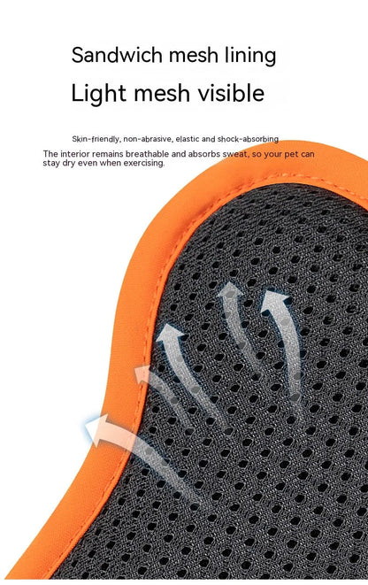 Pet Zen - Dogs Pet Harness Reflective Hand Holding Rope - 0