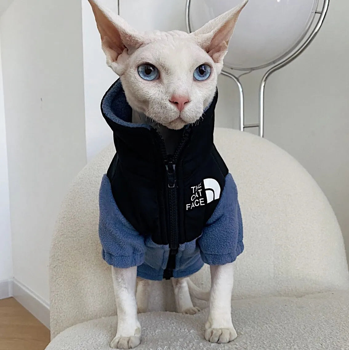 Pet Zen - Hairless Cat Clothes Warm Pet Cat Clothes - 0