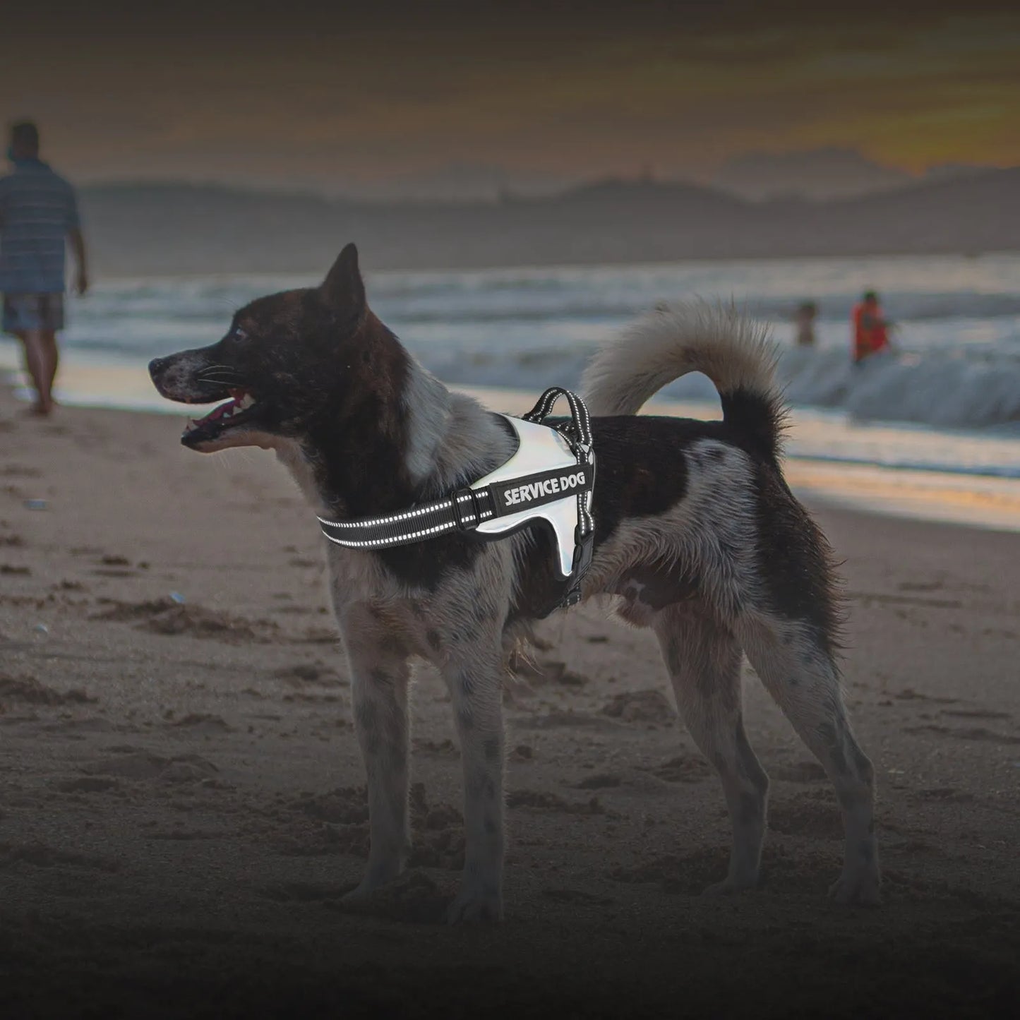 Pet Zen - Large And Medium-sized Dog Traction Rope Vest - 0