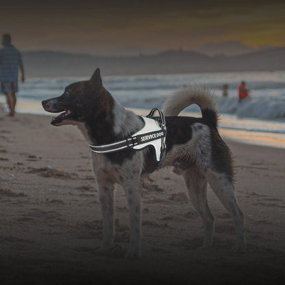 Pet Zen - Large And Medium-sized Dog Traction Rope Vest - 0