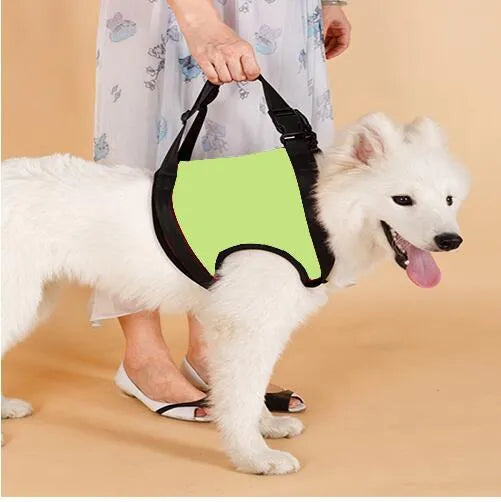 Pet Zen - Old Disabled Golden Retriever Dog Pet Auxiliary Strap - 0