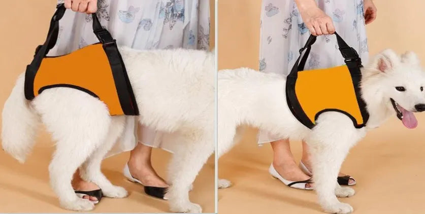 Pet Zen - Old Disabled Golden Retriever Dog Pet Auxiliary Strap - 0