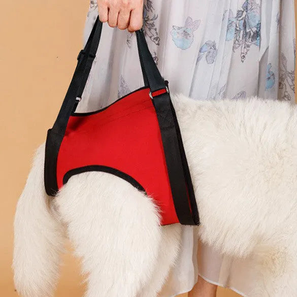 Pet Zen - Old Disabled Golden Retriever Dog Pet Auxiliary Strap - 0