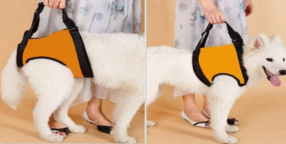 Pet Zen - Old Disabled Golden Retriever Dog Pet Auxiliary Strap - 0