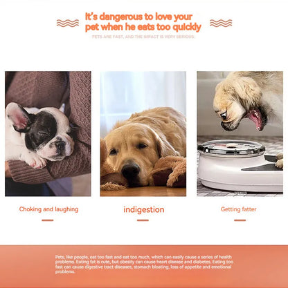 Pet Zen - Pet Rotating Cutting Slow Food Plate Stainless Steel - 0