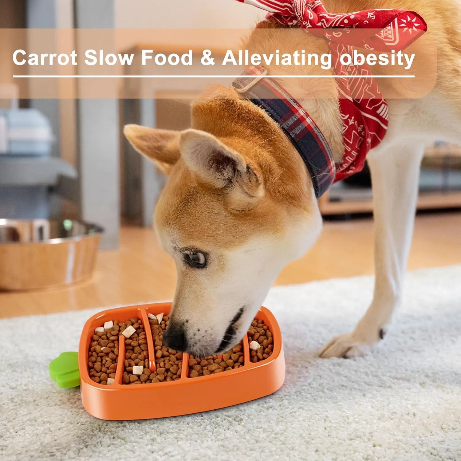 Pet Zen - Slow Feeder Dog Bowl, Dog Food Bowl For Small & Medium-Sized - 4