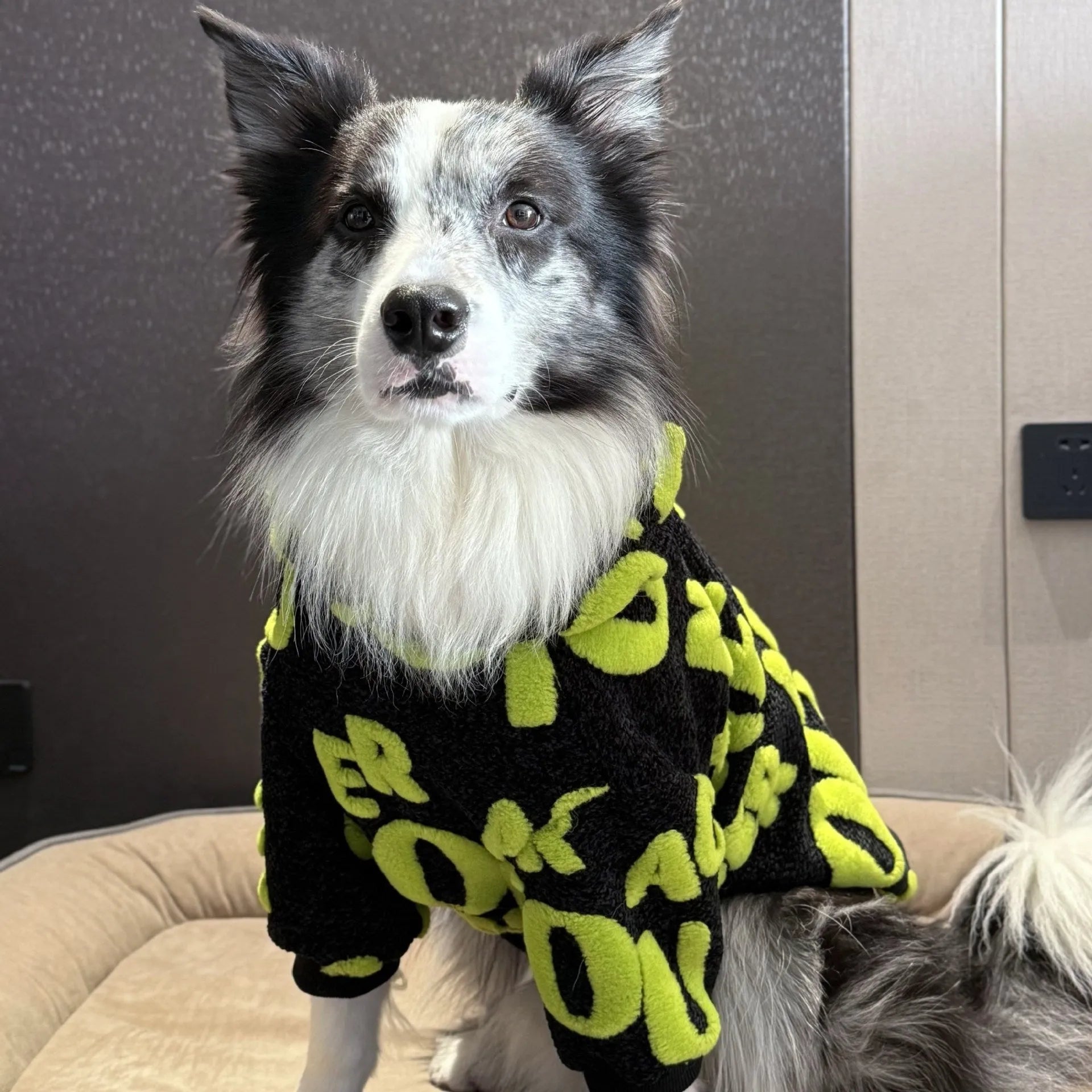 Pet Zen - Stylish Extra-thick Warm Clothing For Large Dogs - 0