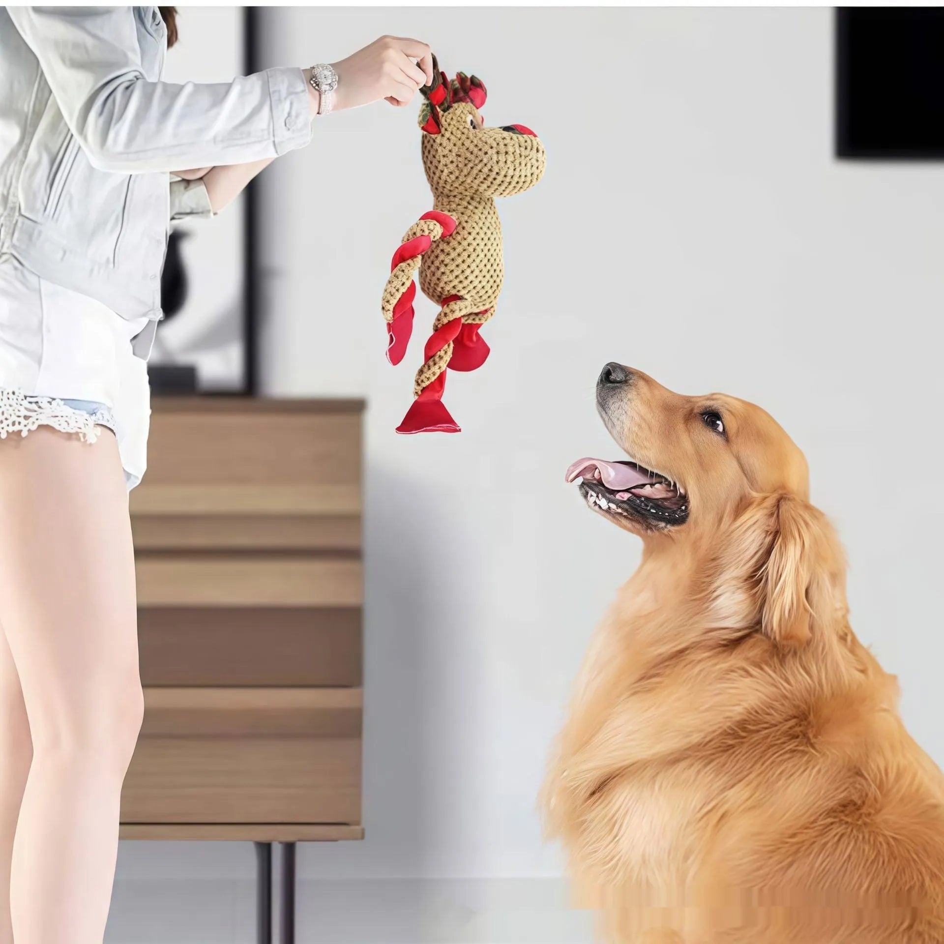 Pet Zen - Teething And Dental-cleaning Pet Christmas Toy - 0