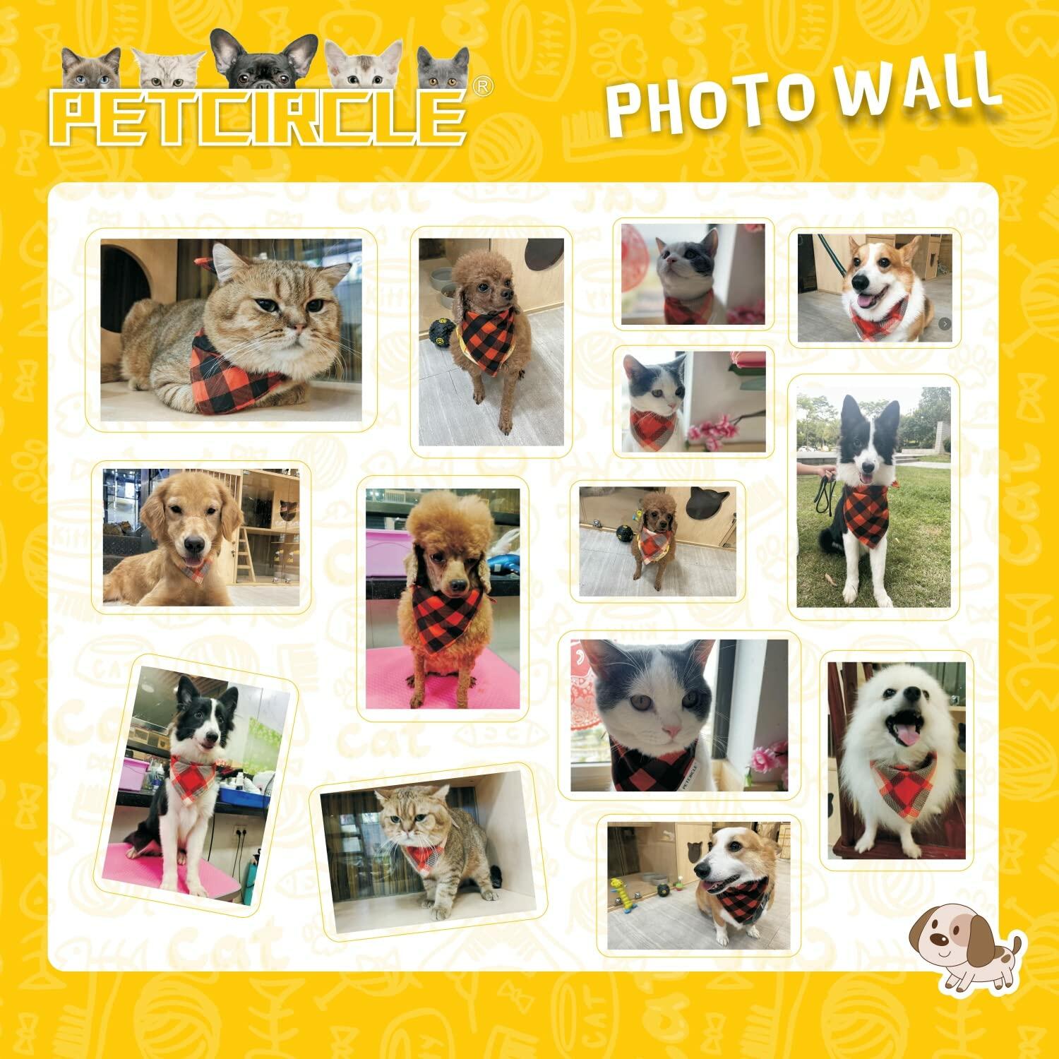 Fall dog bandanas 2 pack showcased on various pets for stylish autumn looks