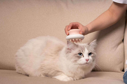 Purrfect Pet Kingdom Compact Pet Brush for Cats and Dogs Purrfect Pet Kingdom
