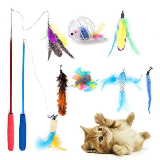 Colorful assortment of Stevvex interactive cat toys, including mouse-shaped balls and a rainbow tunnel, available in 14, 2...