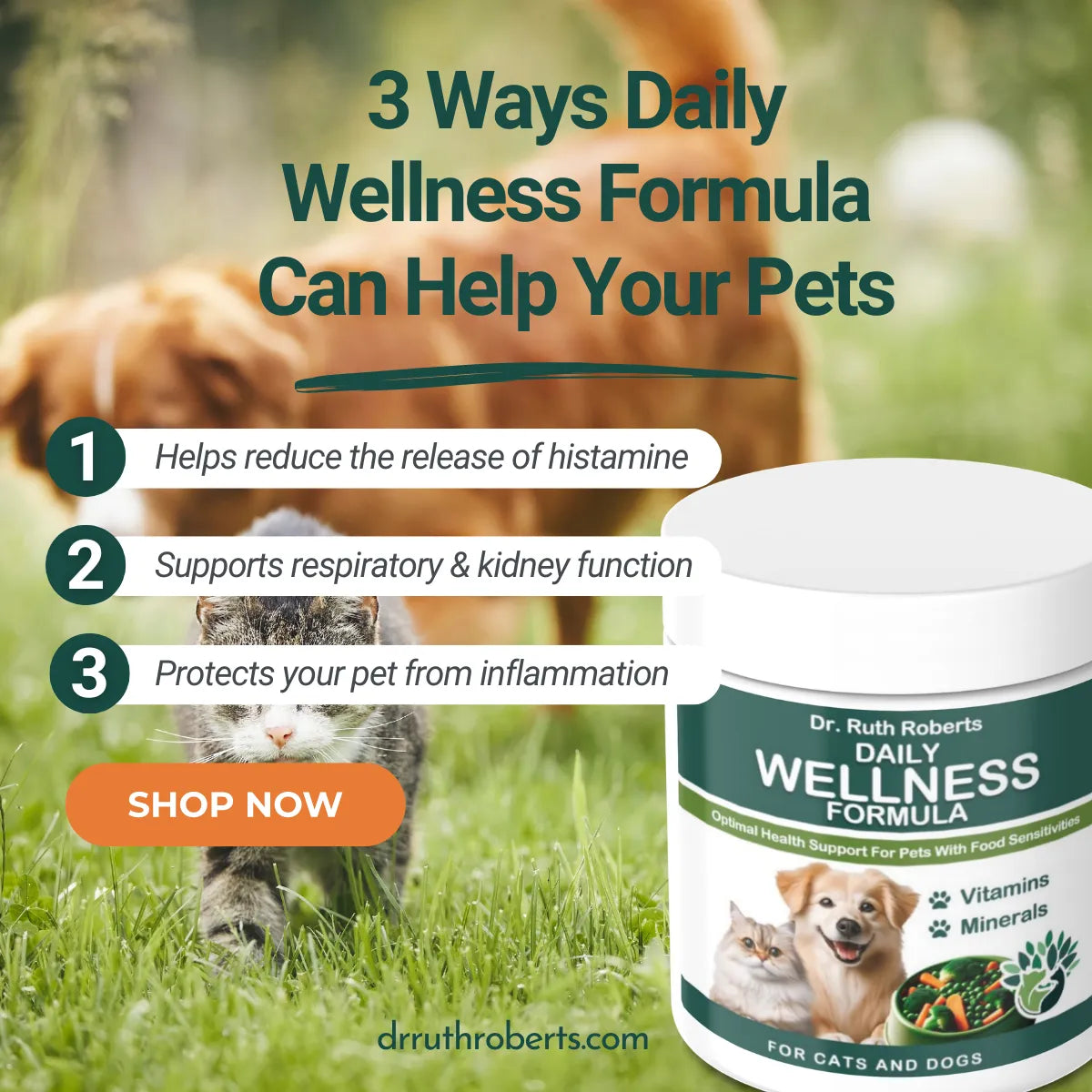 Pet's Daily Wellness Formula by Dr. Ruth Roberts, 54.00, ideal for pets with pork/beef allergies, featuring a vibrant labe...