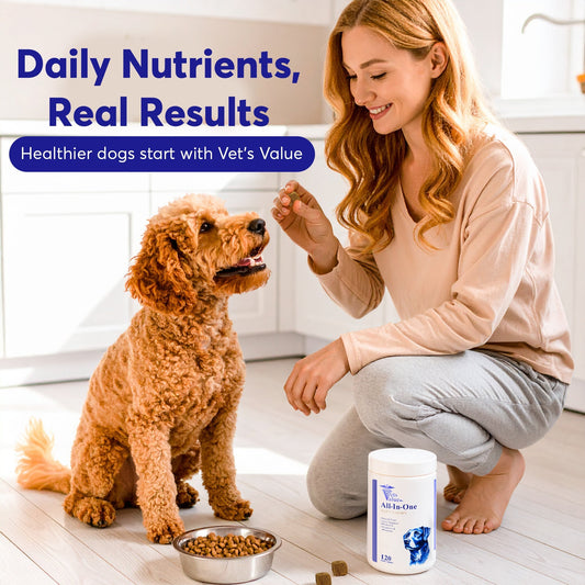 Woman giving dog a treat alongside Horizon Animal Care dog multivitamin chews for better health