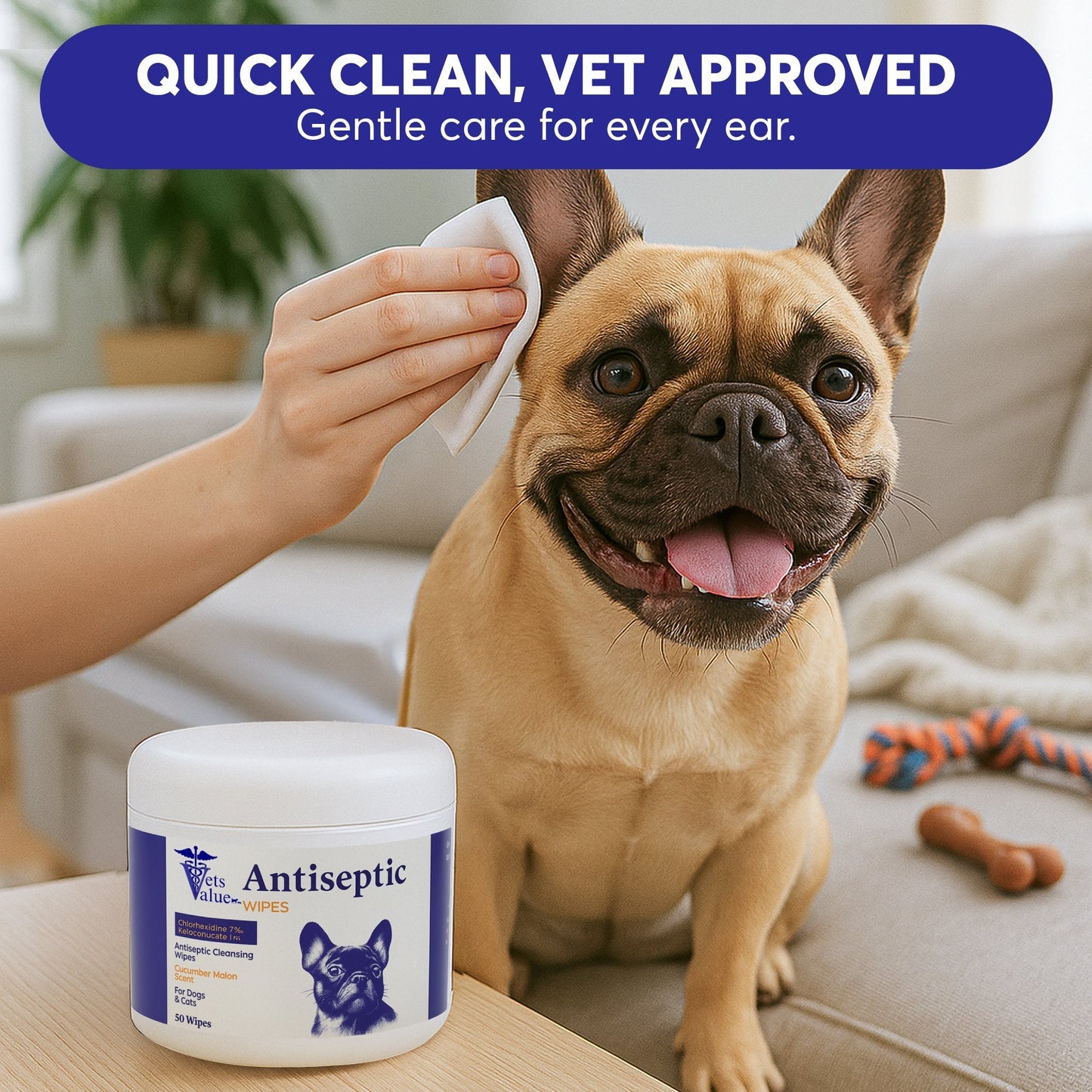 Horizon Animal Care ear cleaning wipes for dogs and cats in use on a happy French Bulldog for quick and gentle cleaning