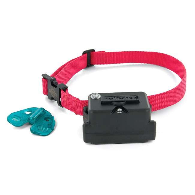 PetSafe stubborn dog collar for large dogs with adjustable strap and comfortable design