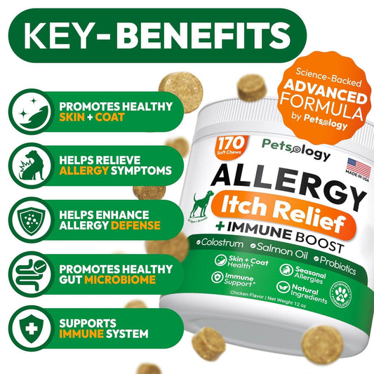Purrfect Pet Kingdom Dog Allergy Relief Chews - Itch & Immune Support Purrfect Pet Kingdom