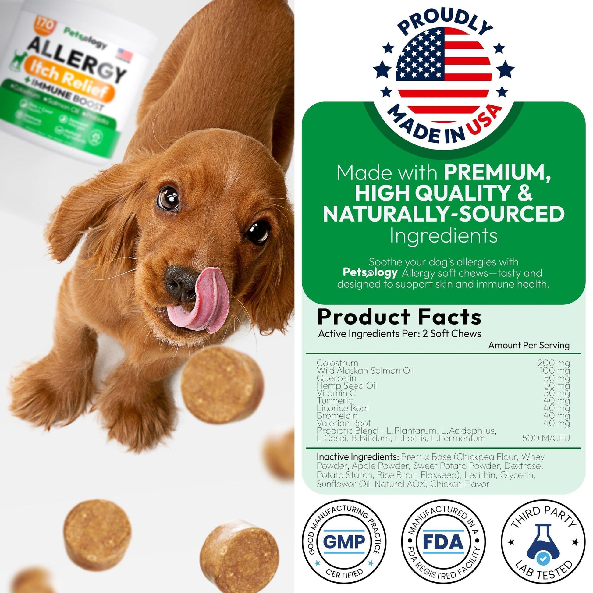 Petsology Dog Allergy Relief Chews with Immune Boost Purrfect Pet Kingdom