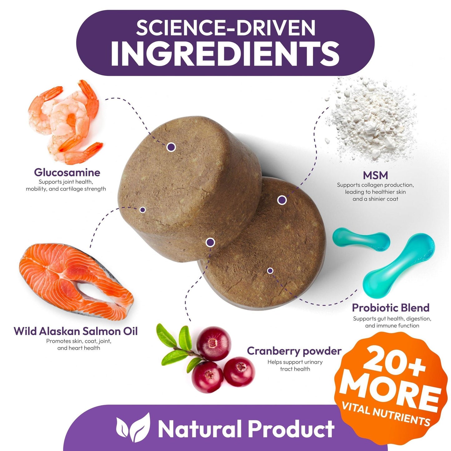 Petsology Dog Multivitamin Chewable Supplements 25-in-1 Purrfect Pet Kingdom