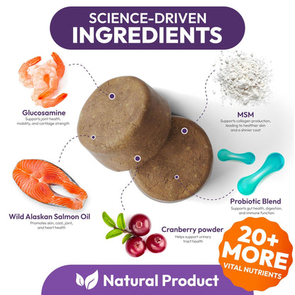 Petsology Dog Multivitamin Chewable Supplements 25-in-1 Purrfect Pet Kingdom