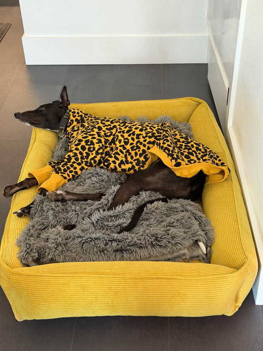 Pet Bed Fancy Corduroy Sleeper Yellow Bolster