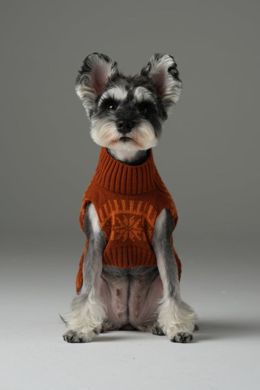 Pretzel Pet Sweater - Tofee Orange