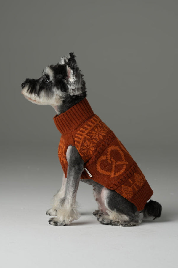 Pretzel Pet Sweater - Tofee Orange