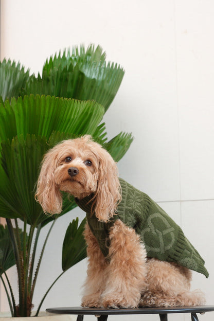 Pretzel Pet Sweater - Olive Green