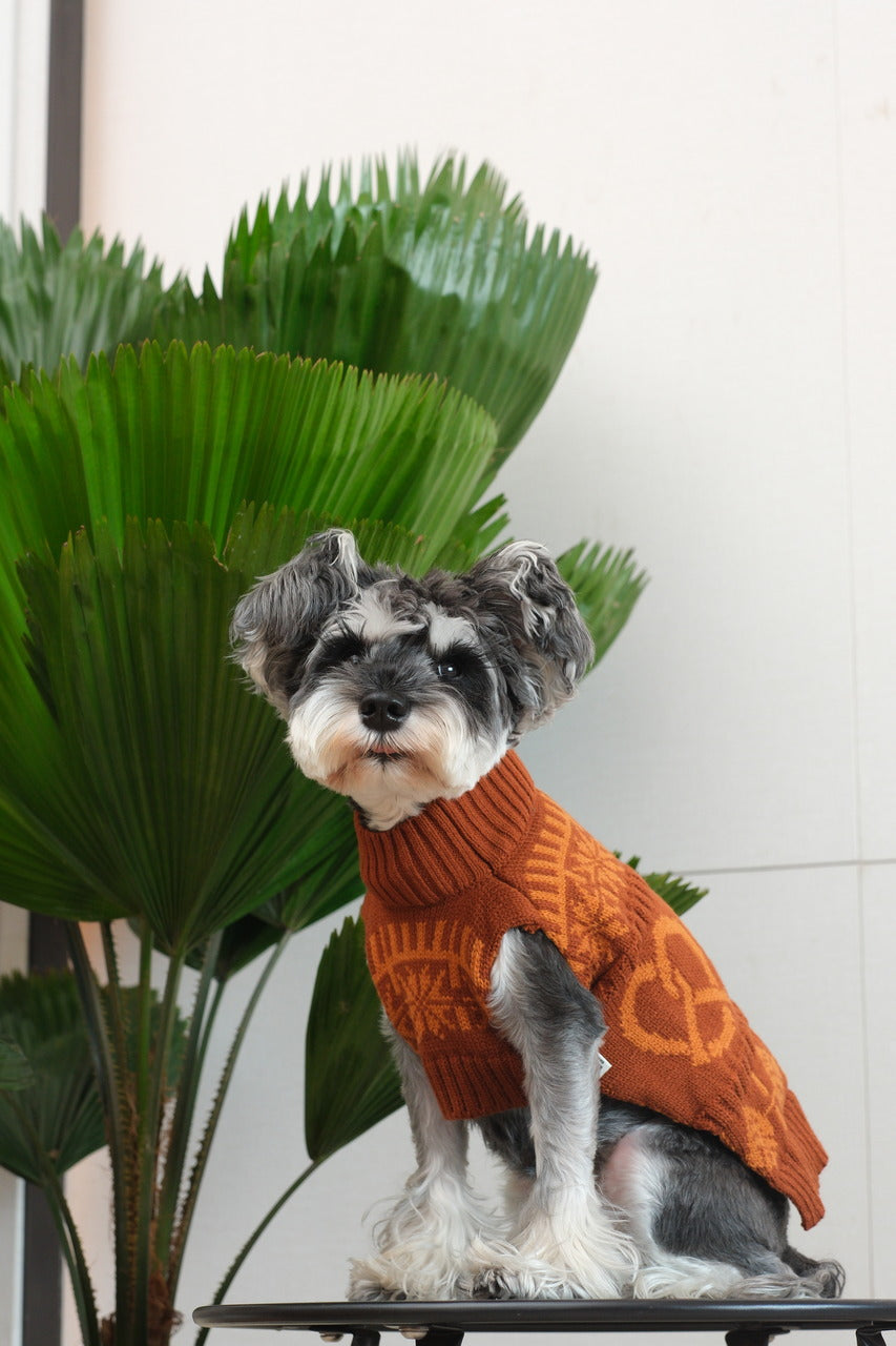 Pretzel Pet Sweater - Tofee Orange